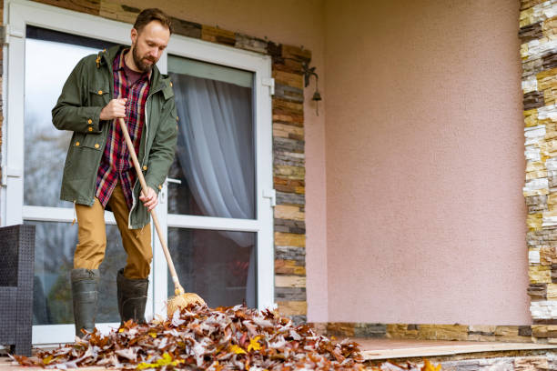 Best Basement Cleanout Services  in Meridian Village, CO